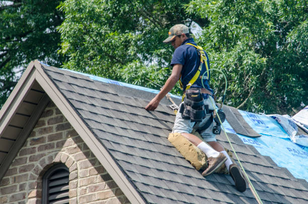 Professional Roofing Contractor in Conway, AR